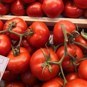 Tomate Rama 500g
