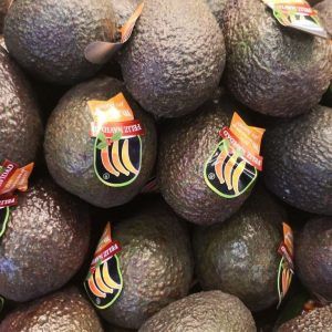 Aguacate unidad