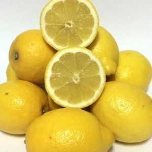 Limón Fontestad 500g