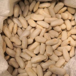 Judión El Barco 500g