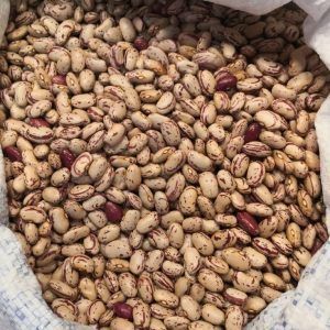 Judia pinta 500g