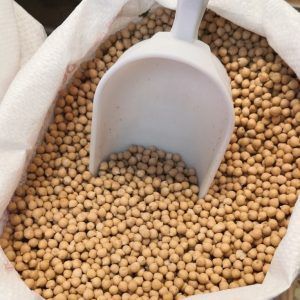 Garbanzo pedrosillano 500g