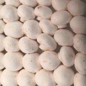 Champiñon Pie Cortado - 250g