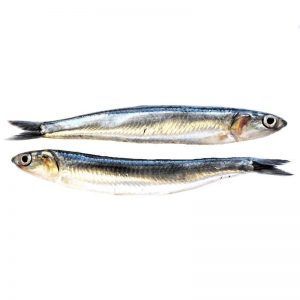 Boquerón fresco - 500g