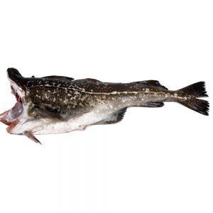 Bacalao - 4 a 4.5kg