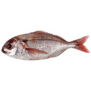 Besugo - 1kg