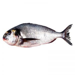 Dorada salvaje Nacional - 1.2/1.5 kg