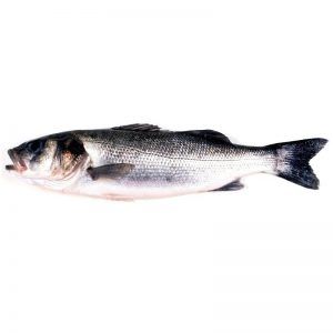 Lubina - 700/800G