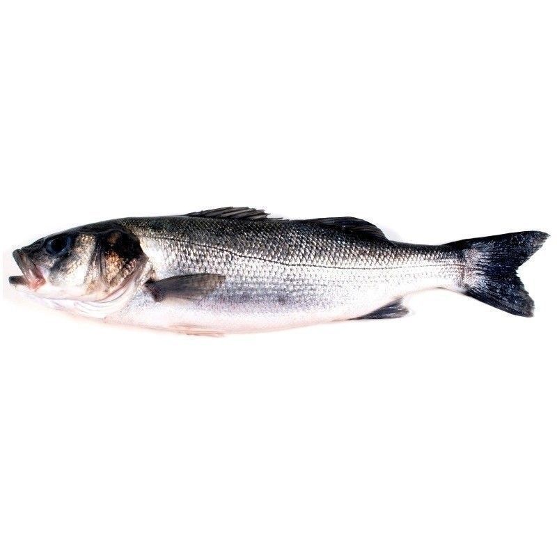 Lubina Salvaje Nacional - 1.4/2.0 kg Lubina Salvaje Nacional - 1.4/2.0 kg