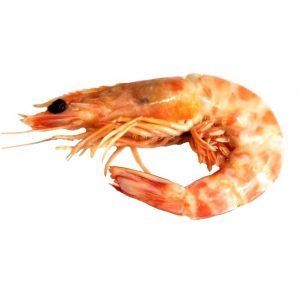 Langostino cocido - 30/40
