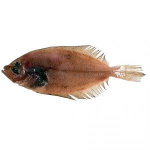 Gallo grande fileteado - 1kg