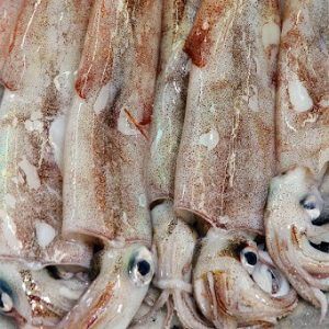 Chipirón Potera - 500g