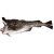 Bacalao – 4 a 4.5kg